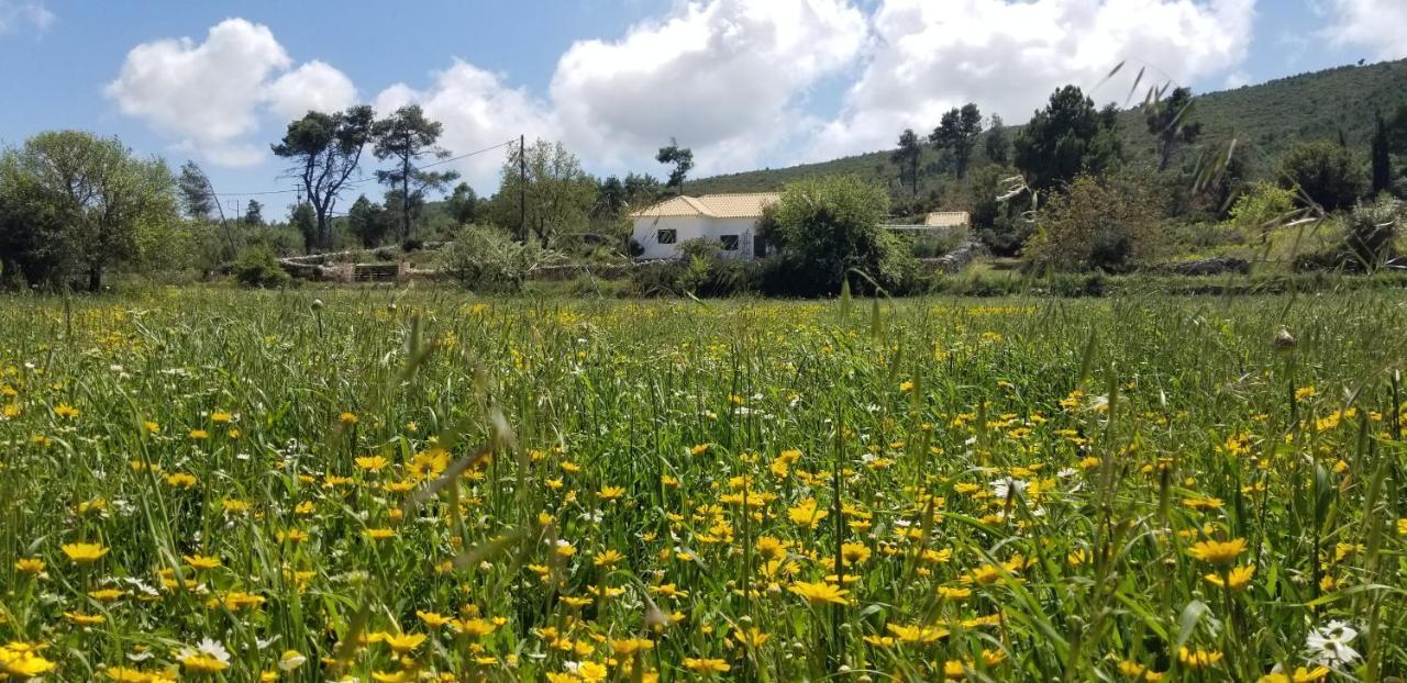 דירות Agia Marina  Dorinda מראה חיצוני תמונה