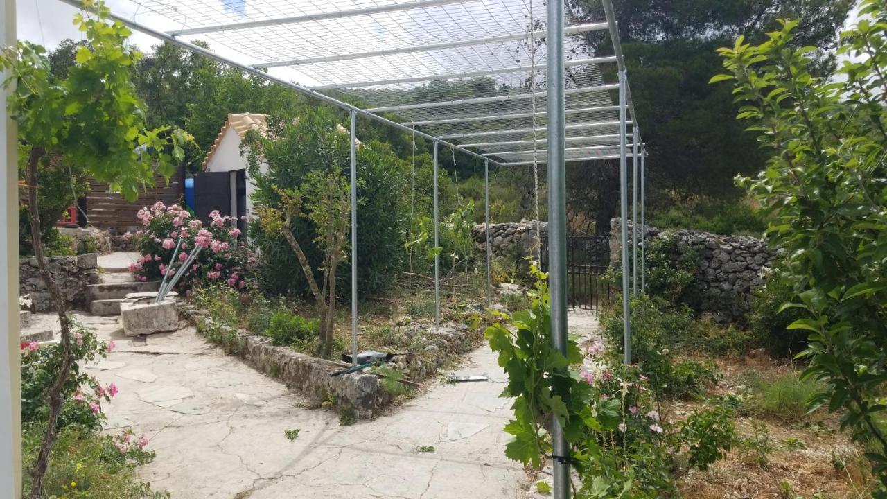 דירות Agia Marina  Dorinda מראה חיצוני תמונה